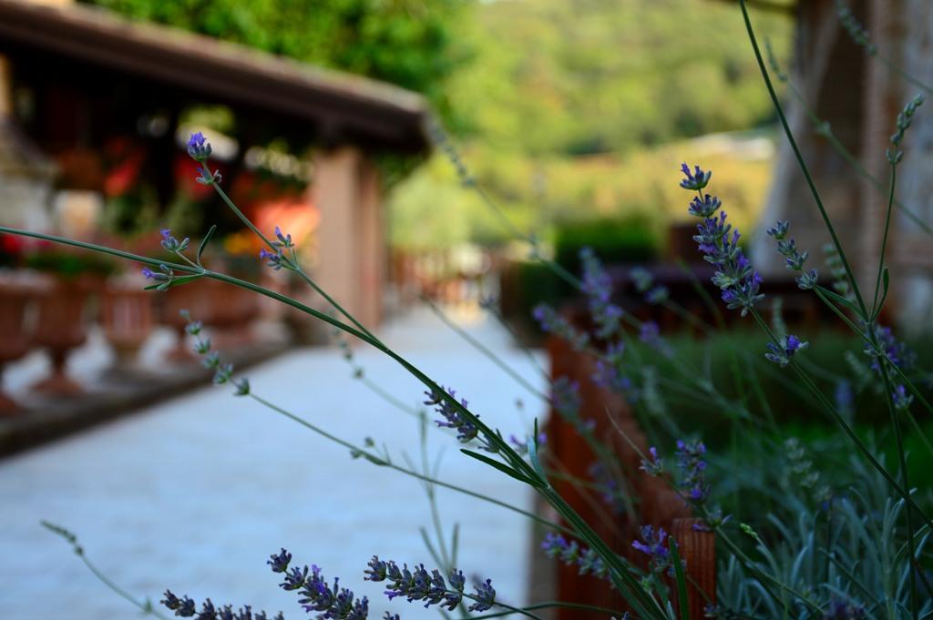 Hotel Sarand Relais-adults Only